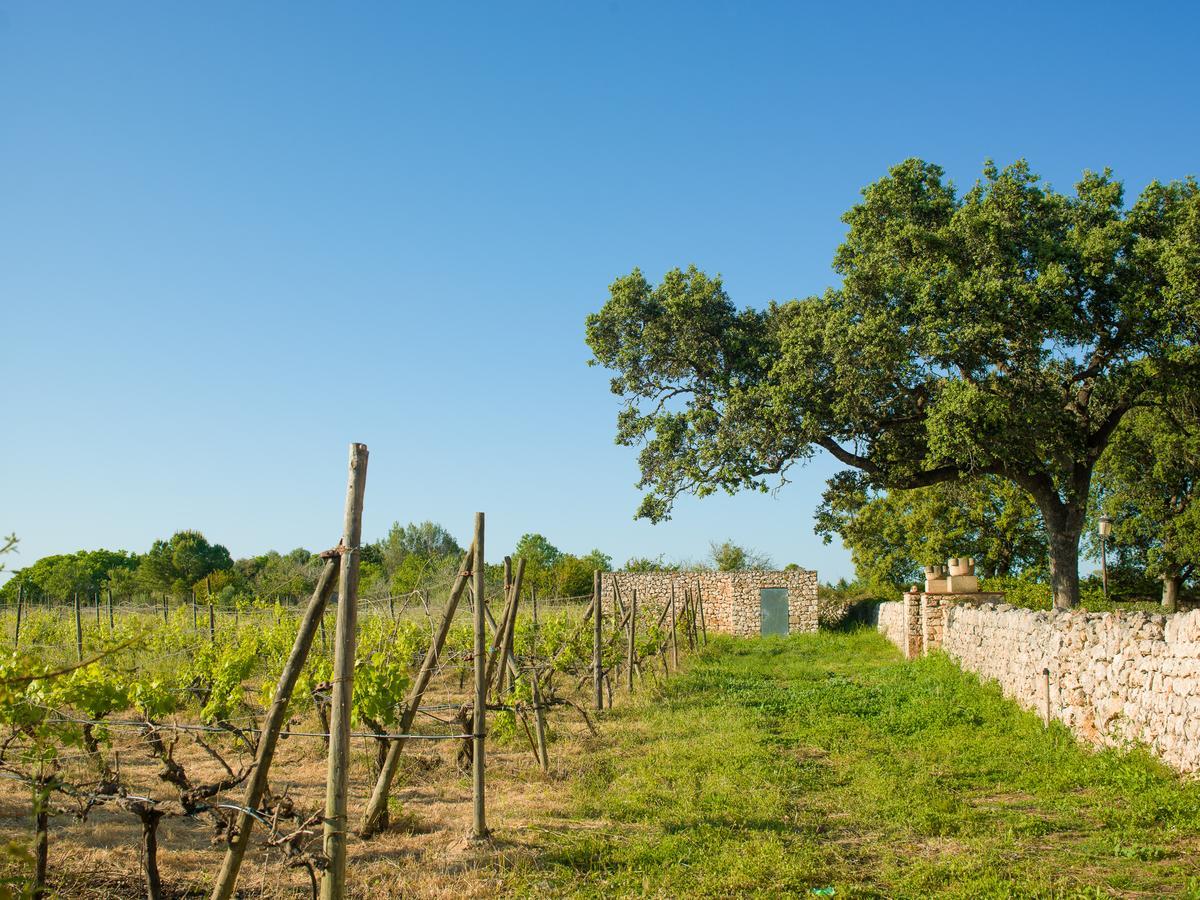 Affittacamere Sa Bassa Rotja Ecoturisme Porreres Esterno foto